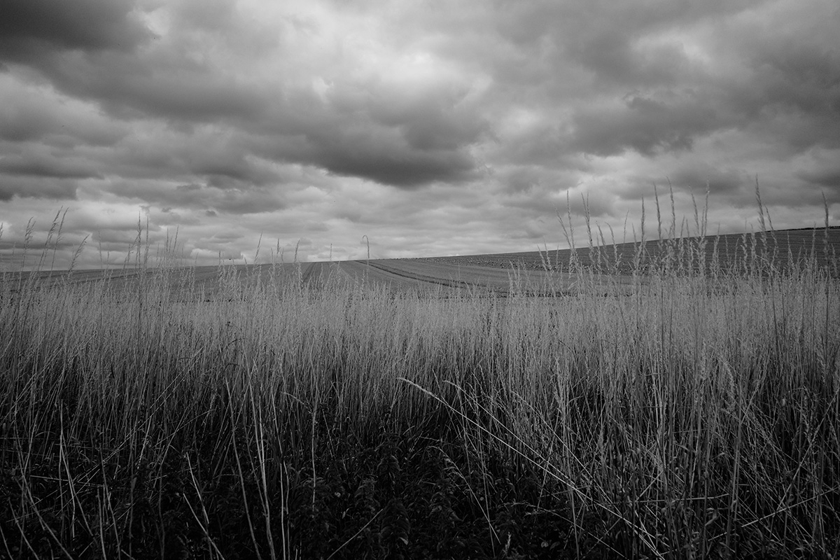 Toward Silbury Hill 4 image